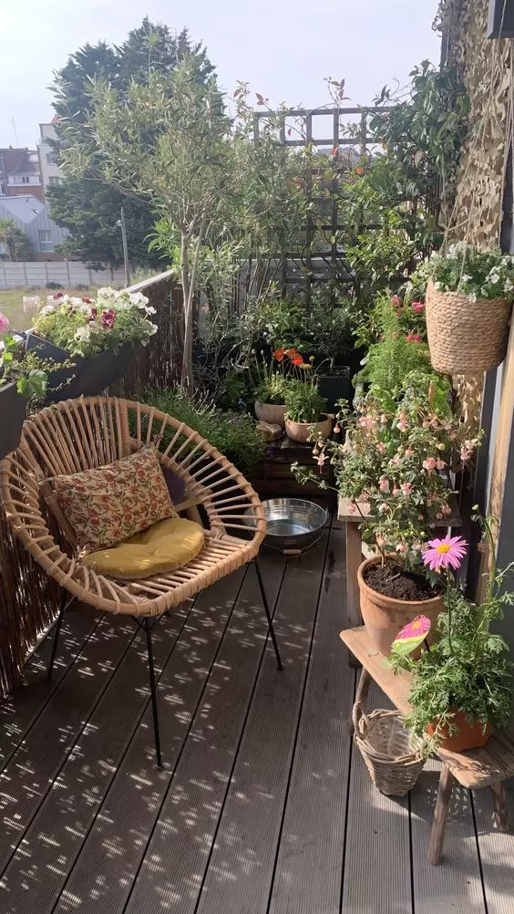 herbes sur le balcon