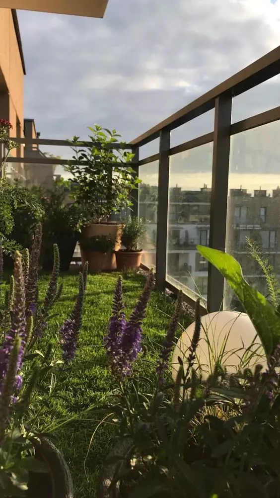 fleurs sur le balcon